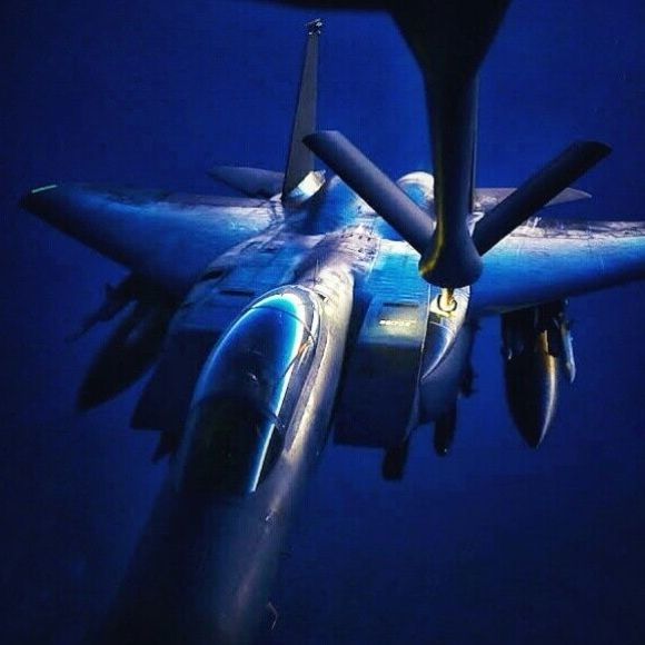 Meet your Posher, James - Picture 1 of 1